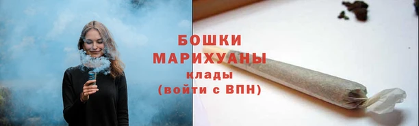 сатива Навашино