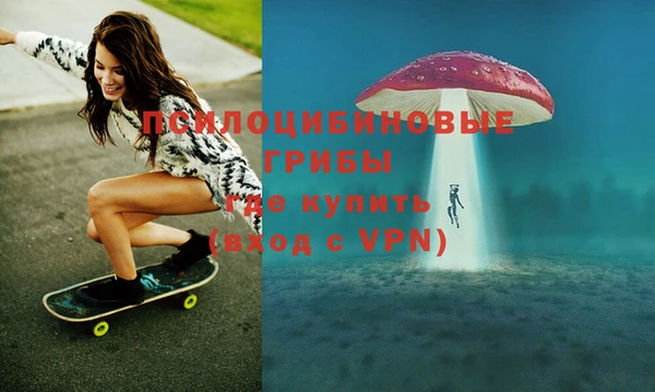 мдпв Надым