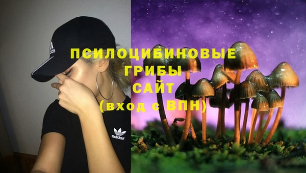 сатива Навашино