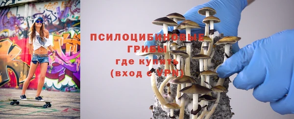 сатива Навашино