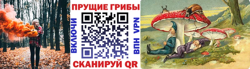 Псилоцибиновые грибы Cubensis  магазин  наркотиков  omg как войти  Уржум 
